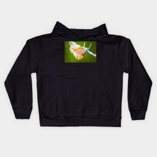 What the wind did Kids Hoodie